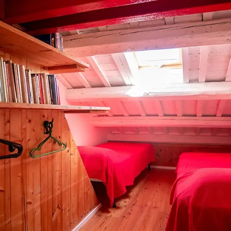 The Roses House Vicino Chioggia, Sottomarina E Venezia Διαμέρισμα *